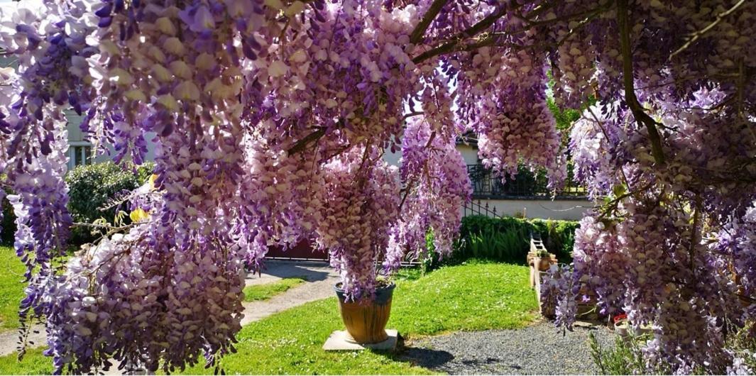 Apartament La Ferme Du Grand Bois Mouterre-Silly Zewnętrze zdjęcie