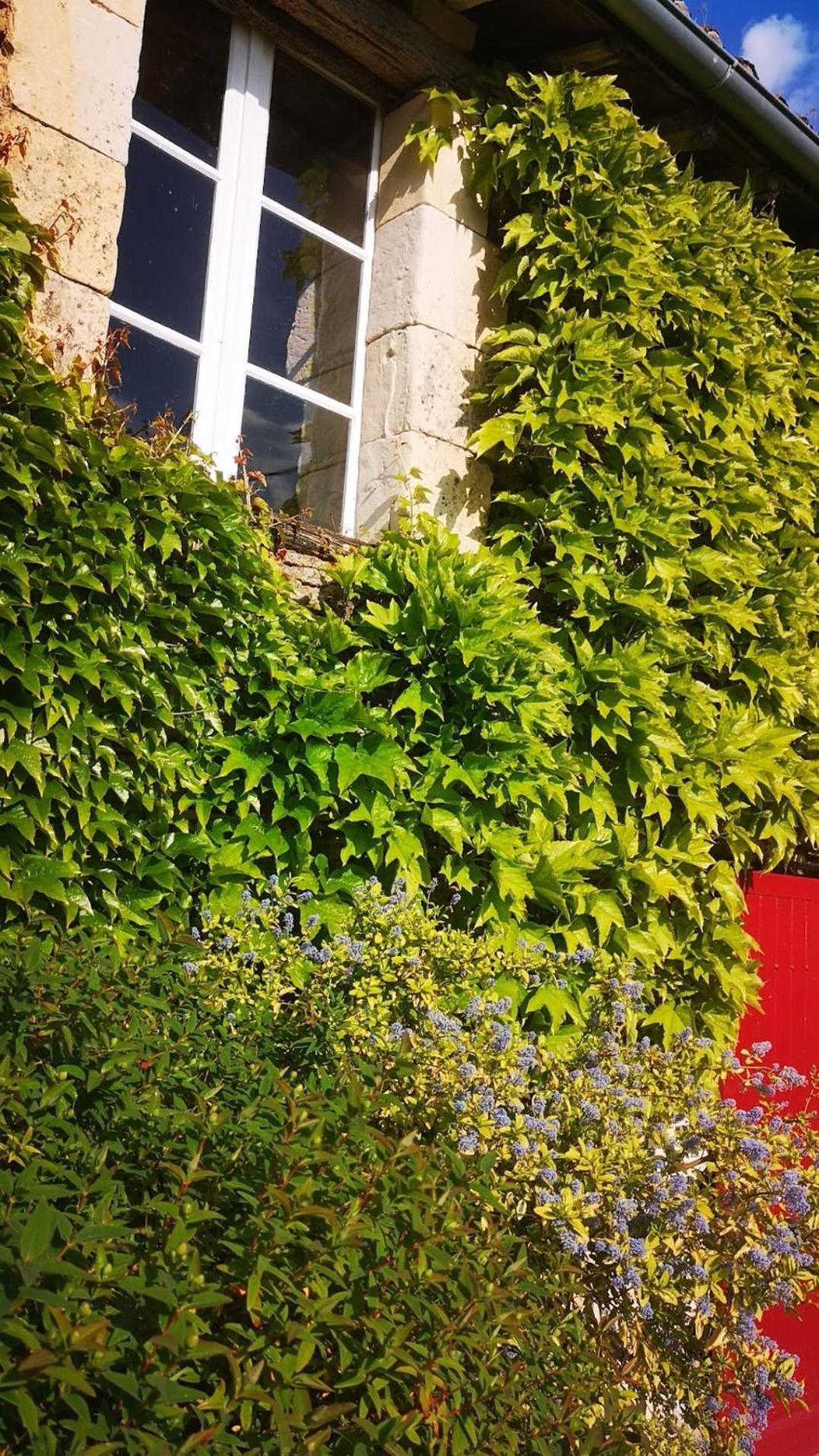 Apartament La Ferme Du Grand Bois Mouterre-Silly Zewnętrze zdjęcie